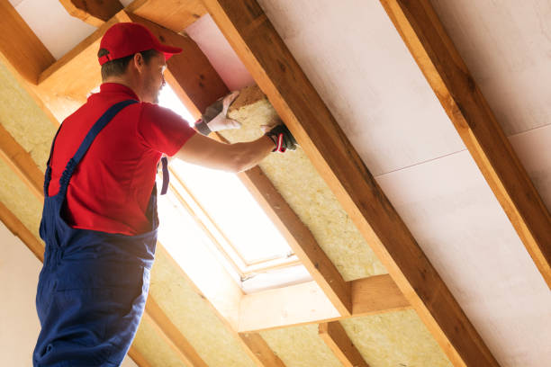 Best Insulation for Existing Homes  in Belleair, FL